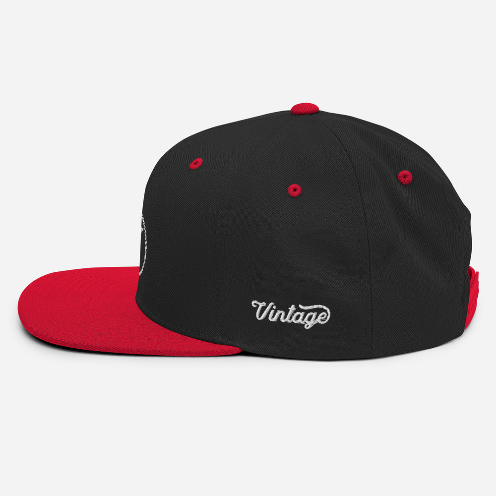 VH 2.0 Power Circle Snapback Hat