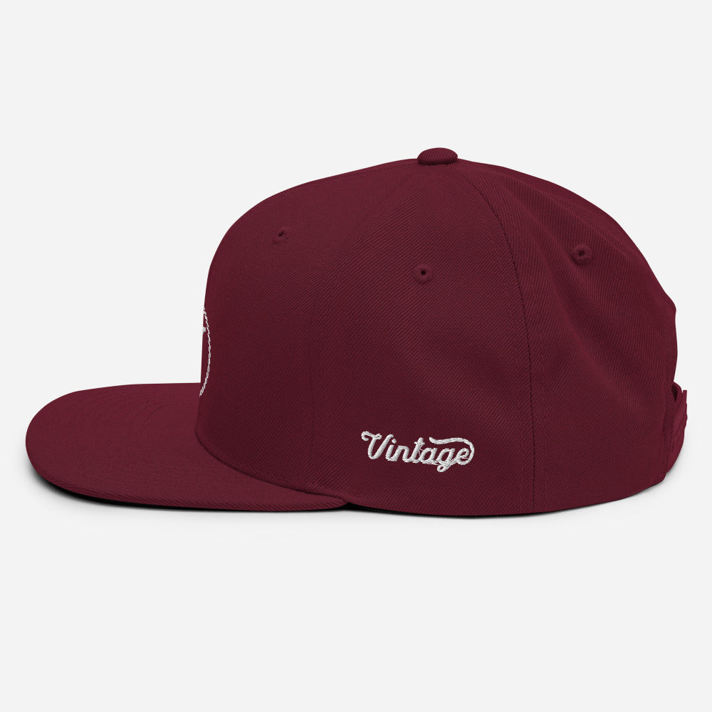 VH 2.0 Power Circle Snapback Hat
