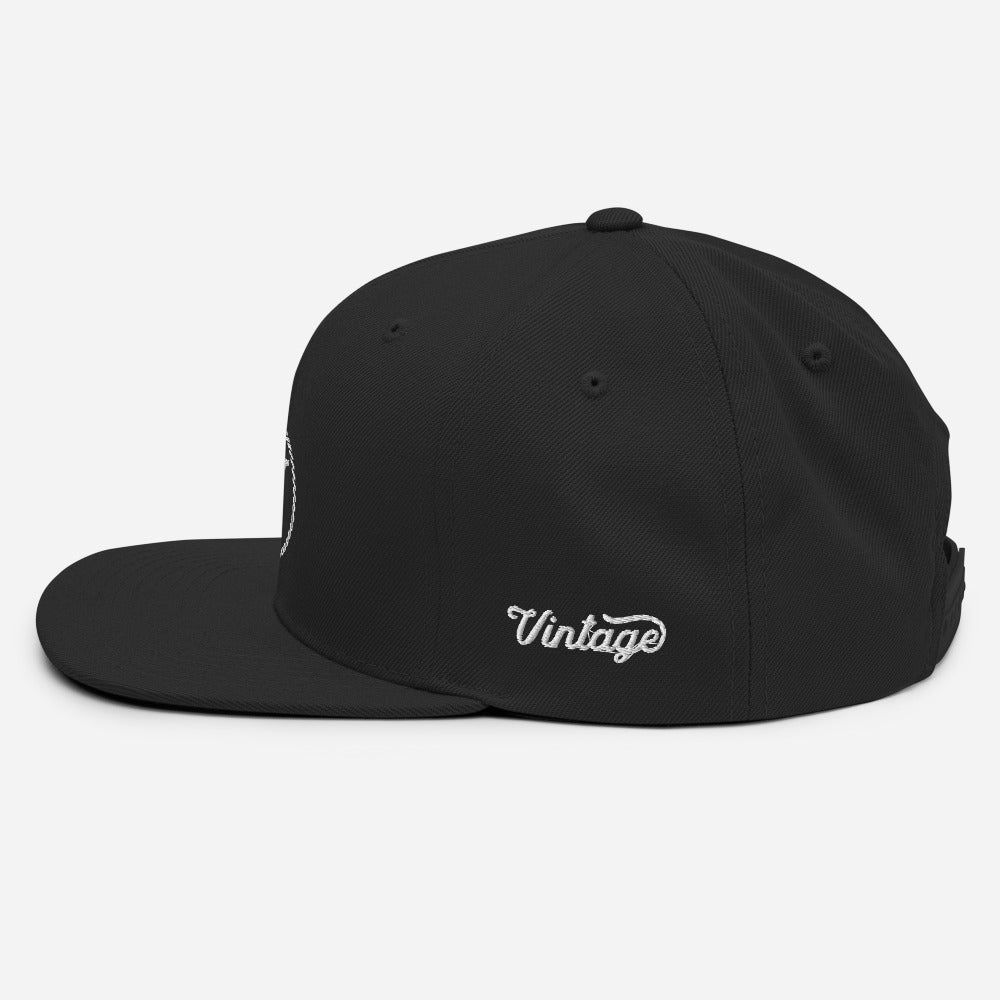 VH 2.0 Power Circle Snapback Hat