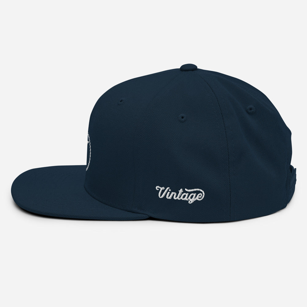 VH 2.0 Power Circle Snapback Hat